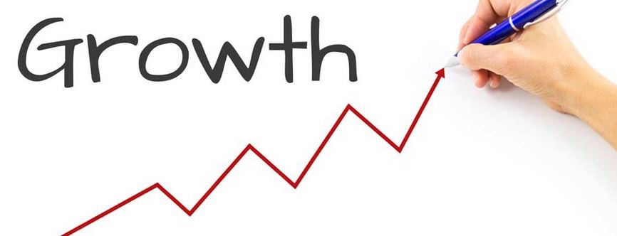 Are You Using These Strategies for Business Growth?