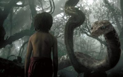 ENTREPRENEUR : S’Y RETROUVER DANS LA JUNGLE DE L’ACCOMPAGNEMENT