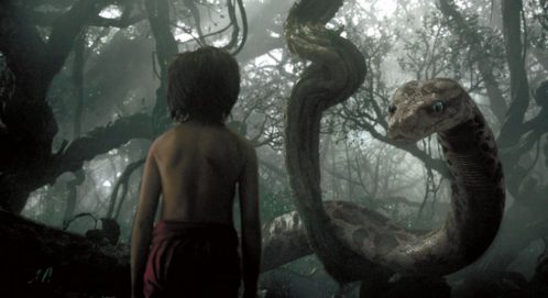 ENTREPRENEUR : S’Y RETROUVER DANS LA JUNGLE DE L’ACCOMPAGNEMENT